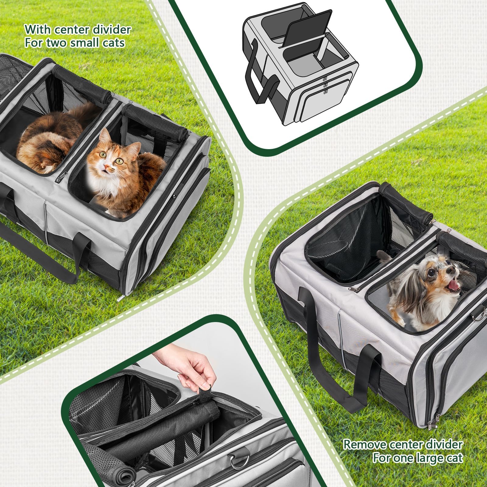 LitaiL cat travel carrier panoramic window provides feline visibility and enrichment