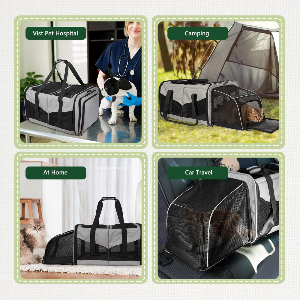 LitaiL cat travel carrier road-trip use demonstrates versatility and comfort on journeys