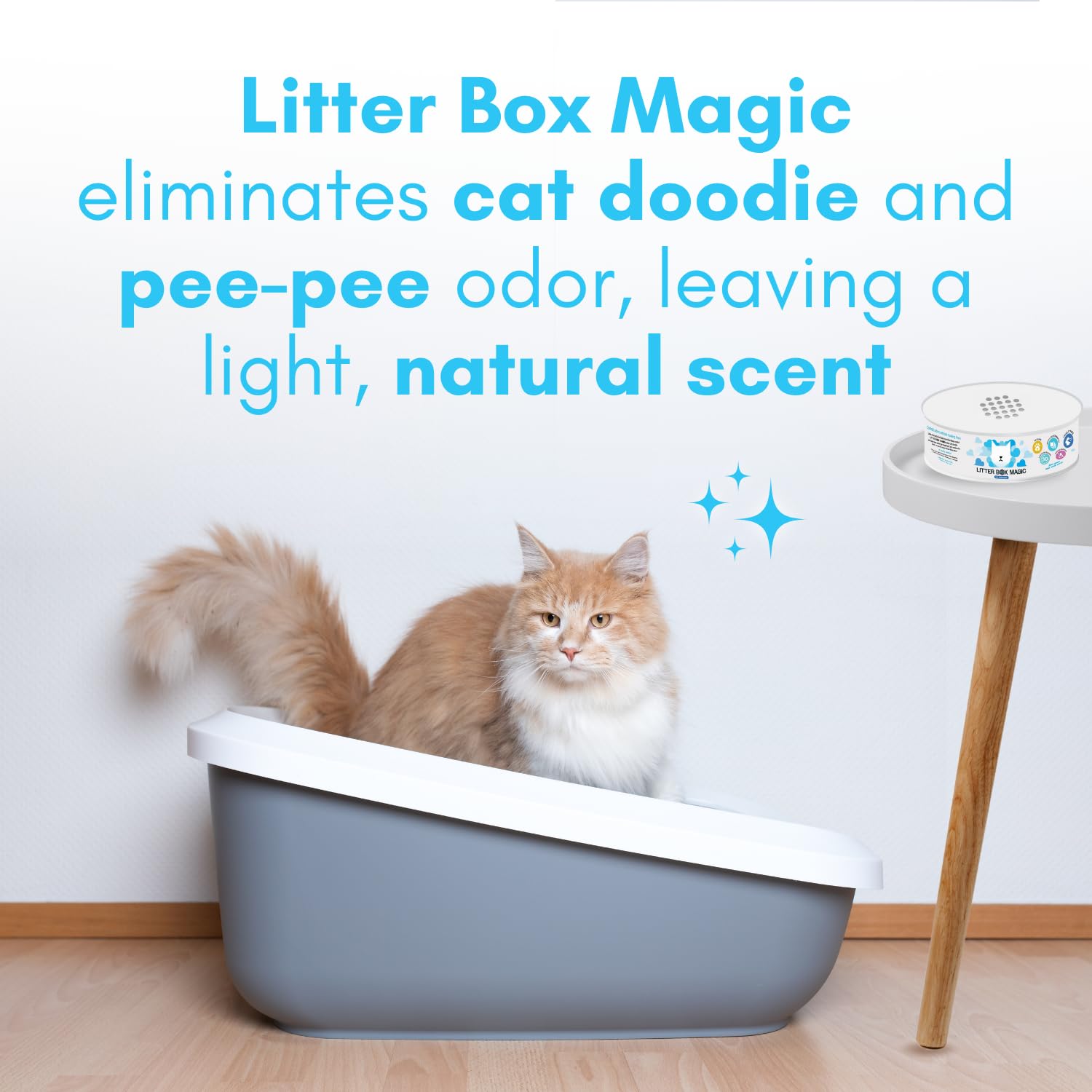 Litter Box Magic 2-pack packaging shows versatile odor control options for households