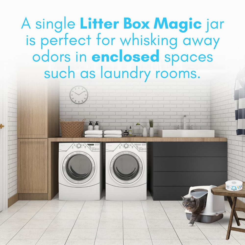 Litter Box Magic deodorizer jar in living room signals pet-safe freshness.
