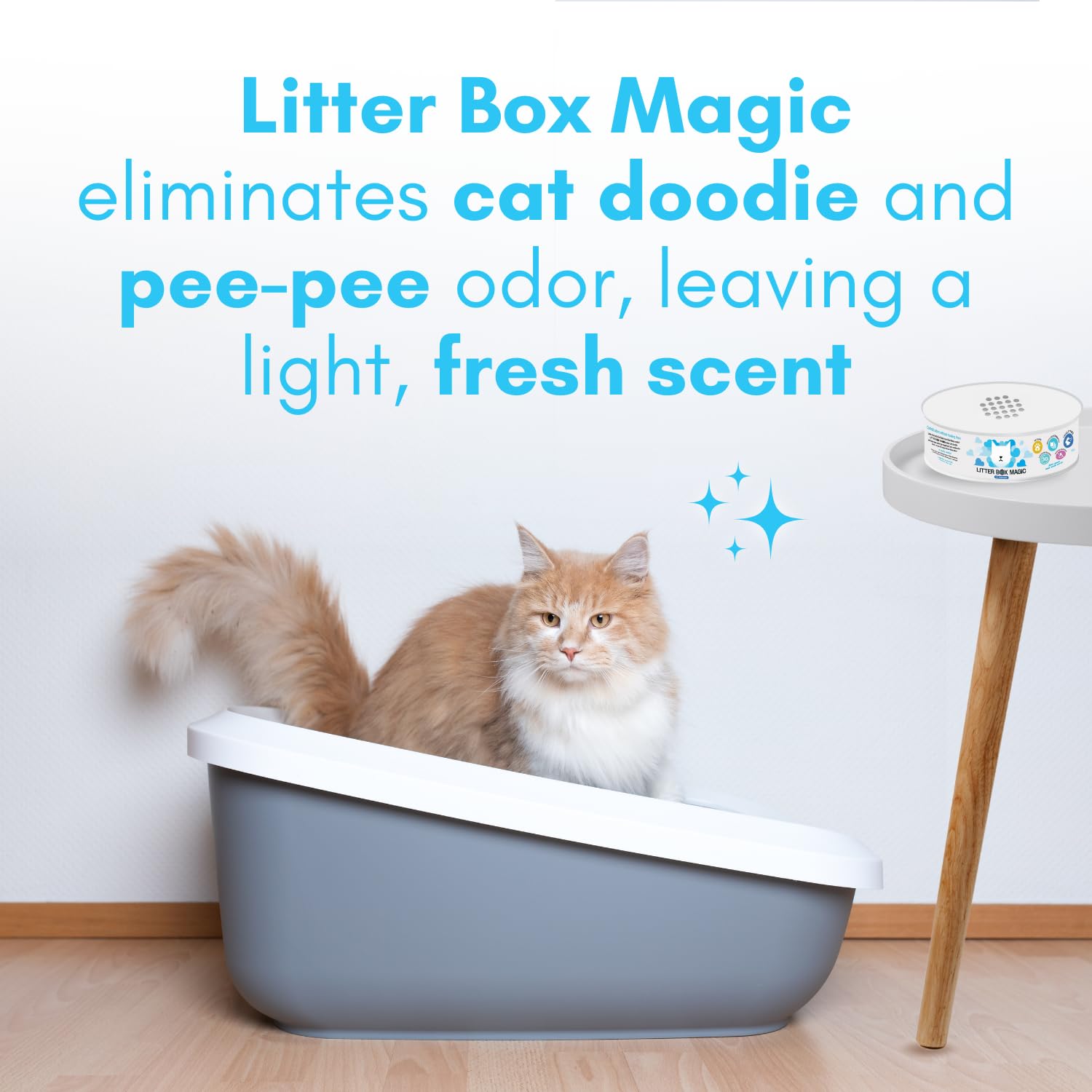 Litter Box Magic deodorizer jar near litter box demonstrates immediate odor reduction.