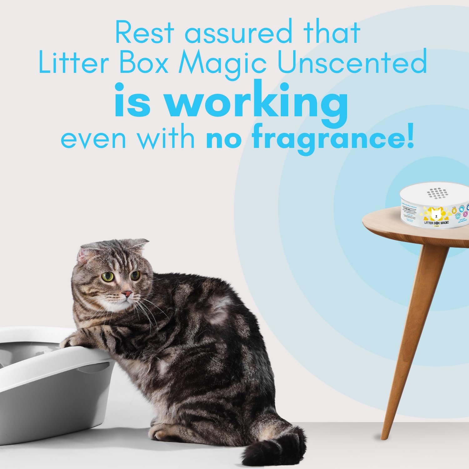 Litter Box Magic 30-day odor control highlights extended freshness between changes