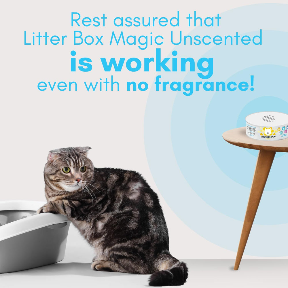 Litter Box Magic 30-day odor control highlights extended freshness between changes