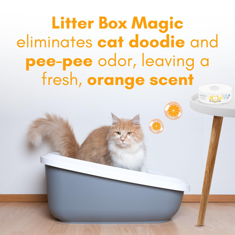 Litter Box Magic pack-of-2 emphasizes value and extended coverage.