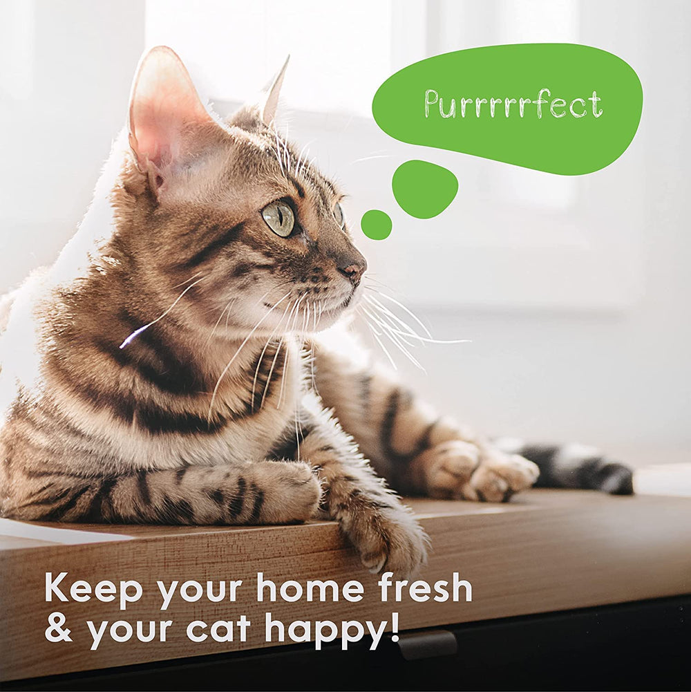 Litter Genie refill lasts up to two months for one cat.