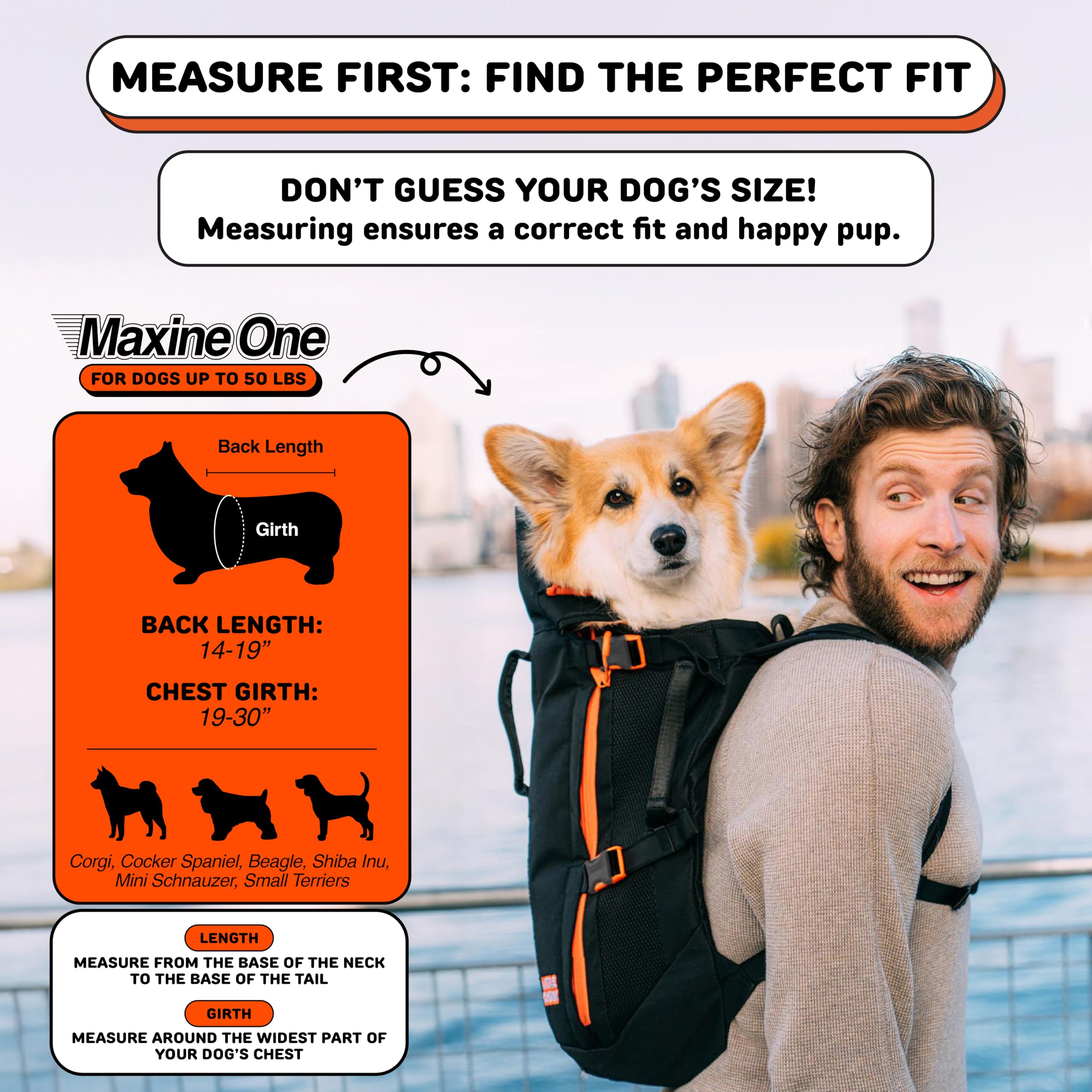 Little Chonk Maxine One back view highlights the durable frame for dependable travel