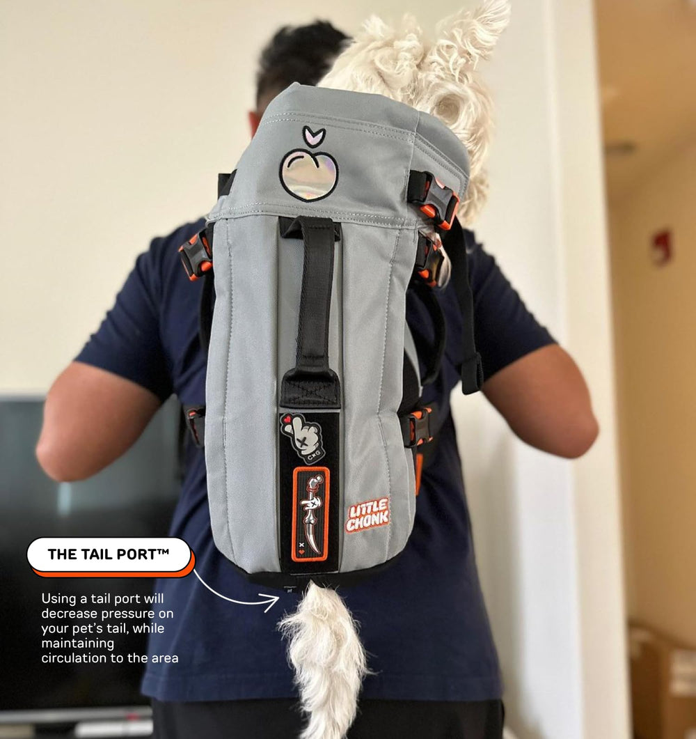 Little Chonk Maxine One internal collar clip demonstrates secure leash integration