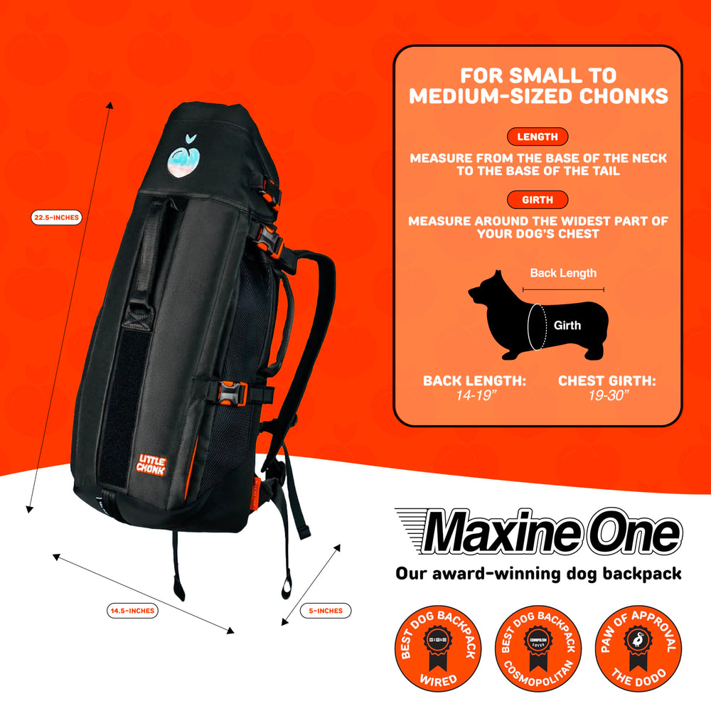 Little Chonk Maxine One side-carry view emphasizes adjustable straps for hands-free hiking