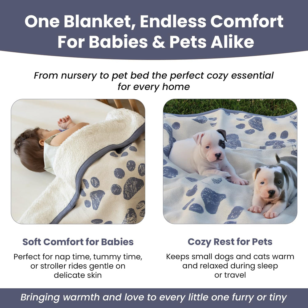 Little Dedi soft-plush paw blanket ideal for carrier trips and quiet moments.