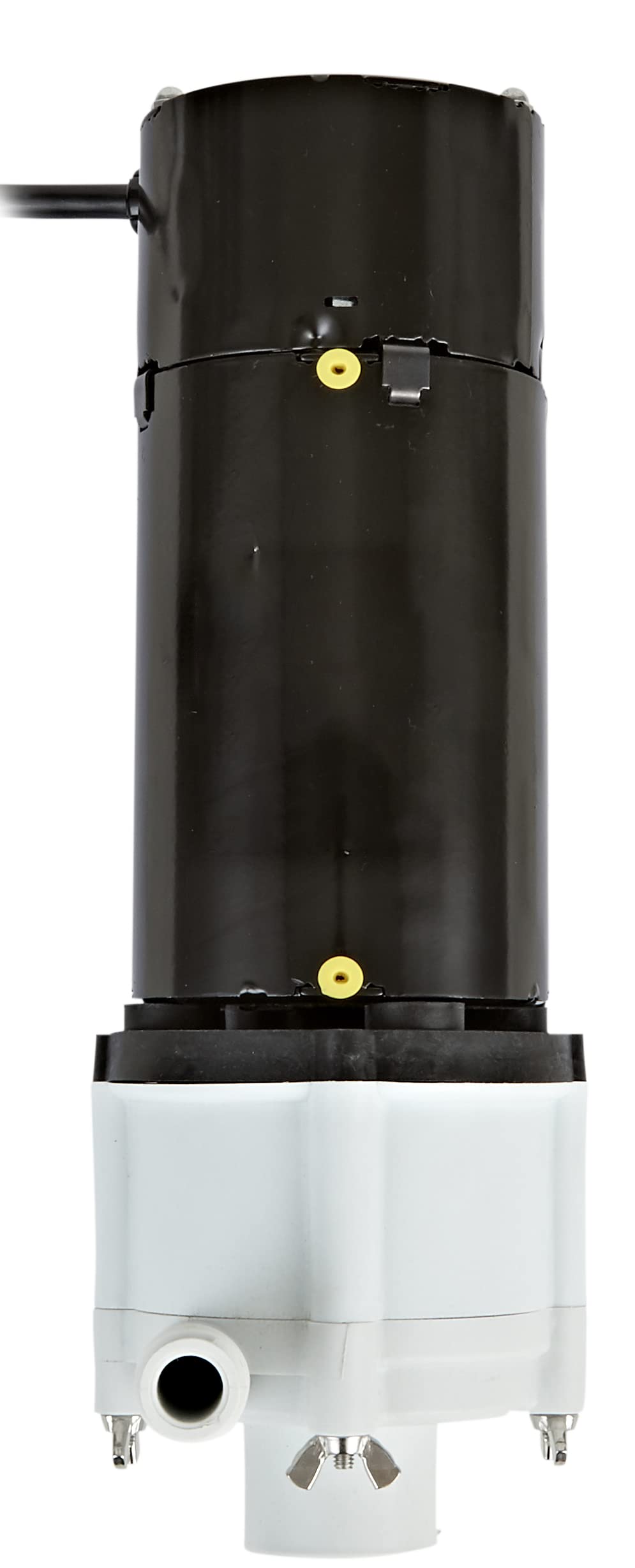Little Giant inline installation demonstrates efficient filtration and circulation.