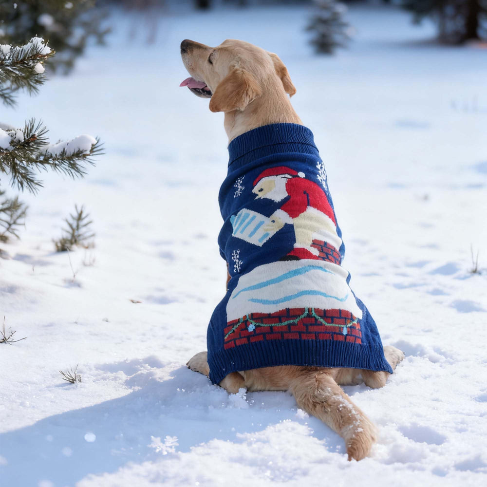 Littledropet dog ugly Christmas sweater detailed knit highlights soft warmth
