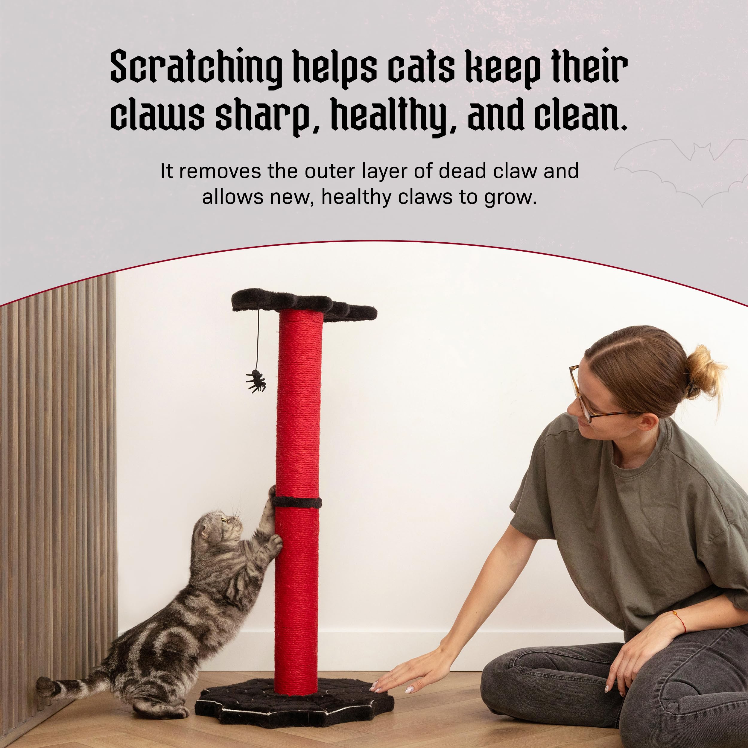 Littlesy Halloween cat scratcher shows easy setup for festive home decor and play.
