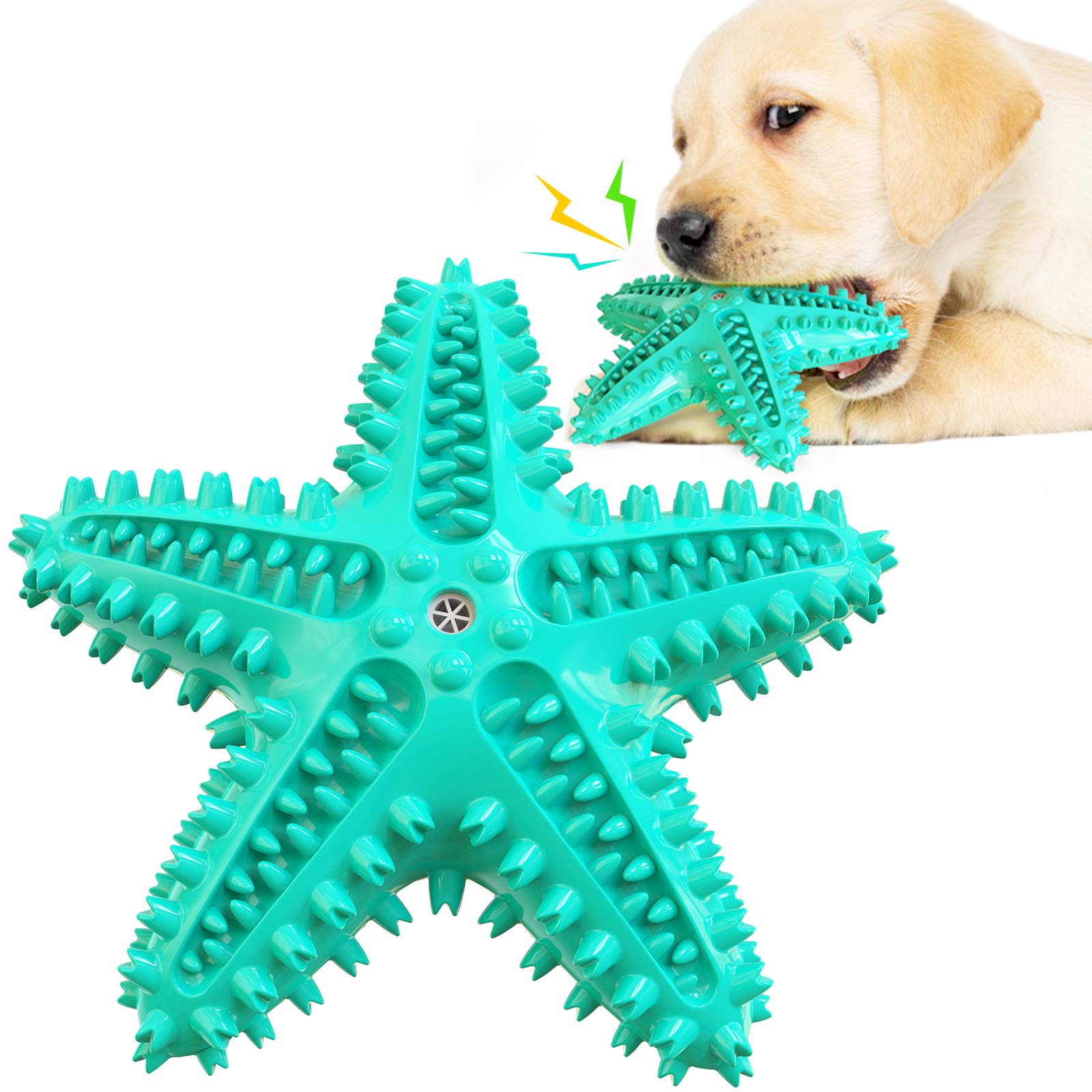 LiuMelinda blue starfish dog chew toy side view for tough chewers and fetch.
