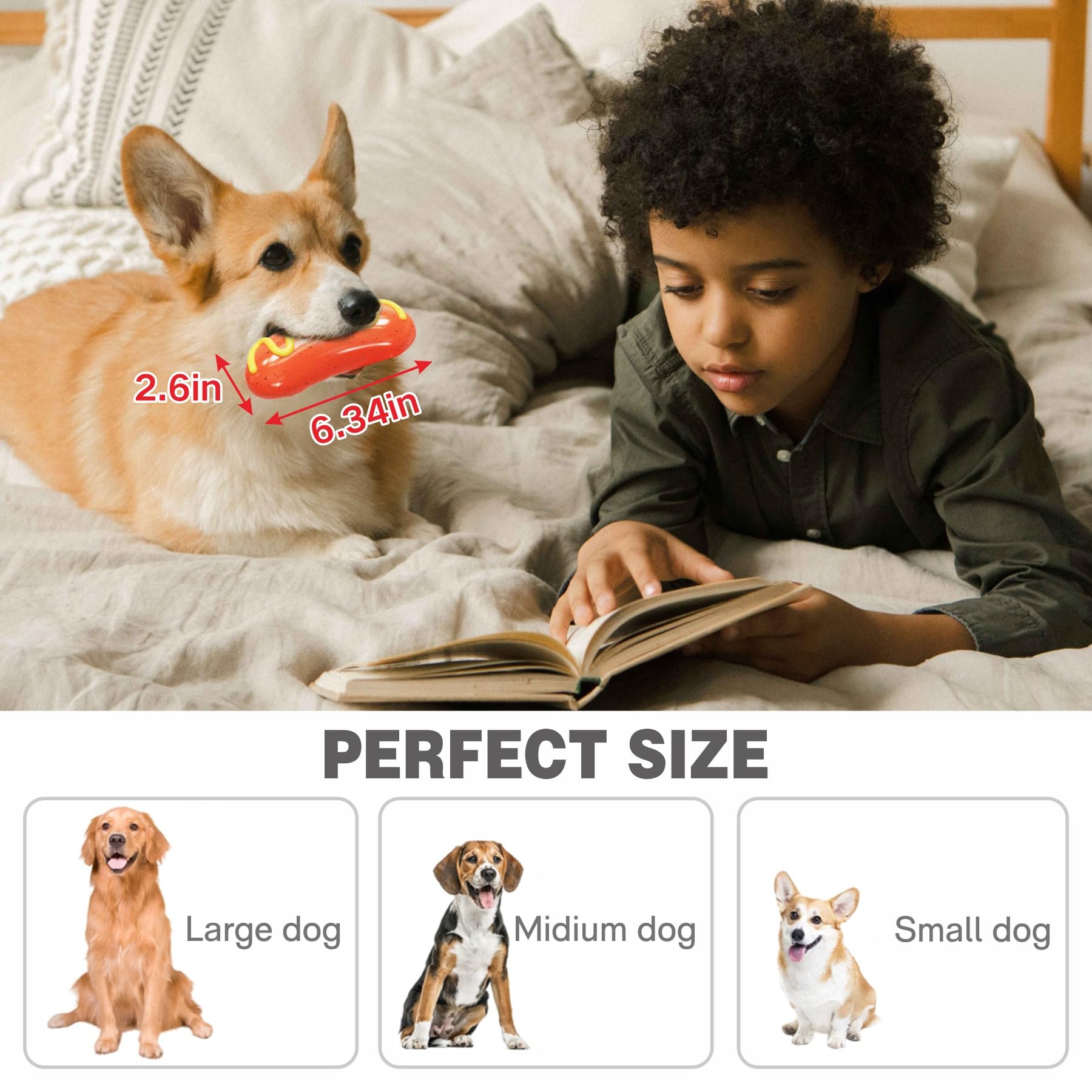 LiuMelinda dog chew toy natural-rubber texture demonstrates safe, elastic material for teeth-friendly chewing.