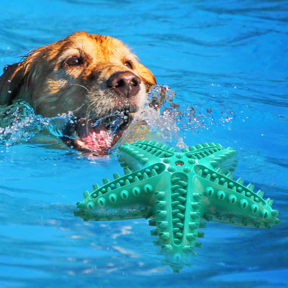 LiuMelinda floating starfish dog toy ideal for summer water play.