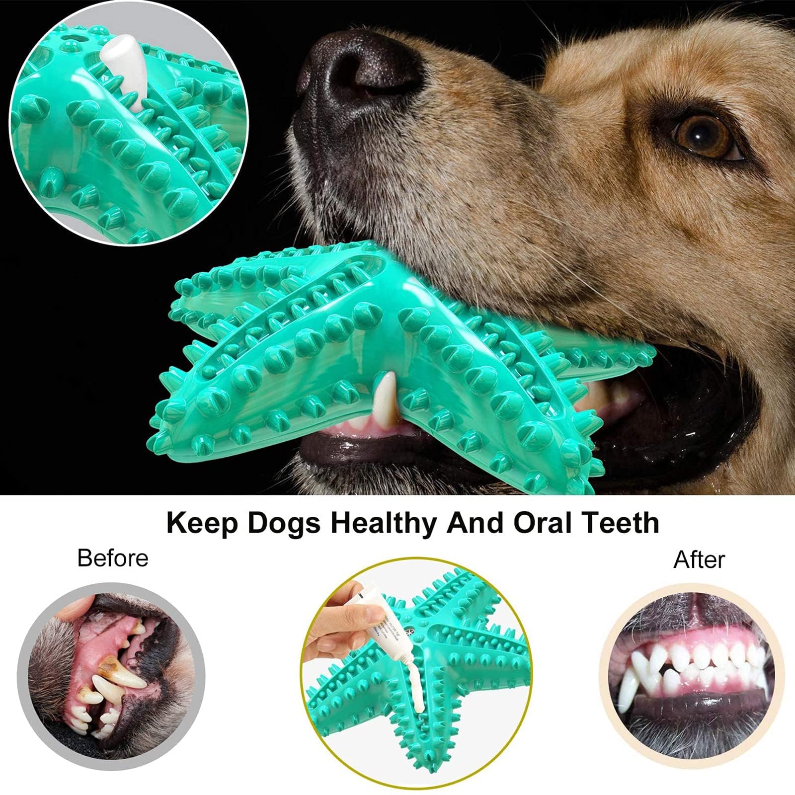 LiuMelinda indoor-outdoor chew toy starfish ready for play and floating fun.