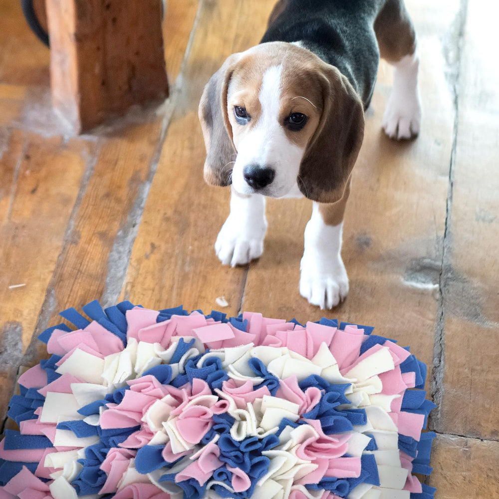 LIVEKEY Snuffle Mat is machine washable for easy cleanup after adventures