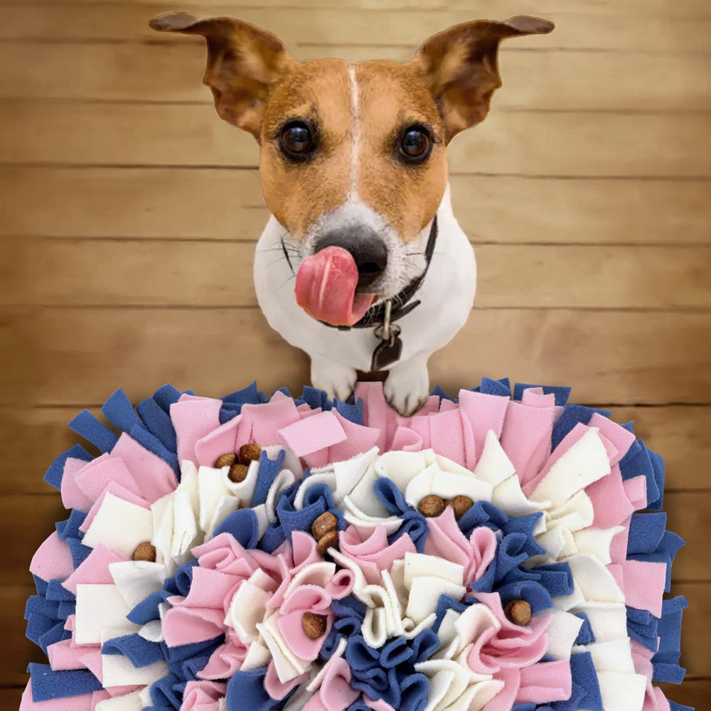 LIVEKEY Snuffle Mat modular design enables scalable puzzle play for households with multiple pets