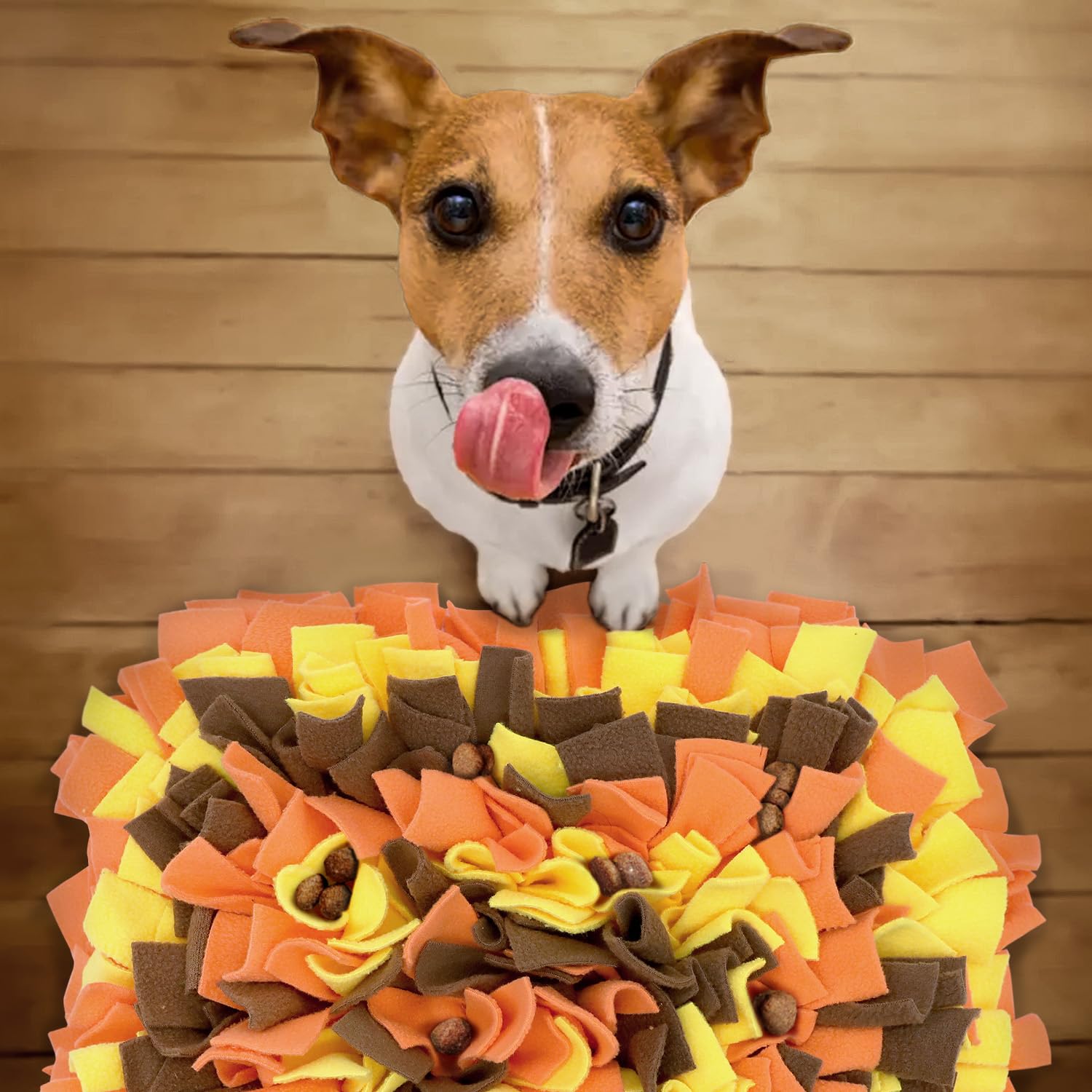 LIVEKEY Pet Snuffle Mat multi-pet play setup demonstrating versatility for households with energetic pets.