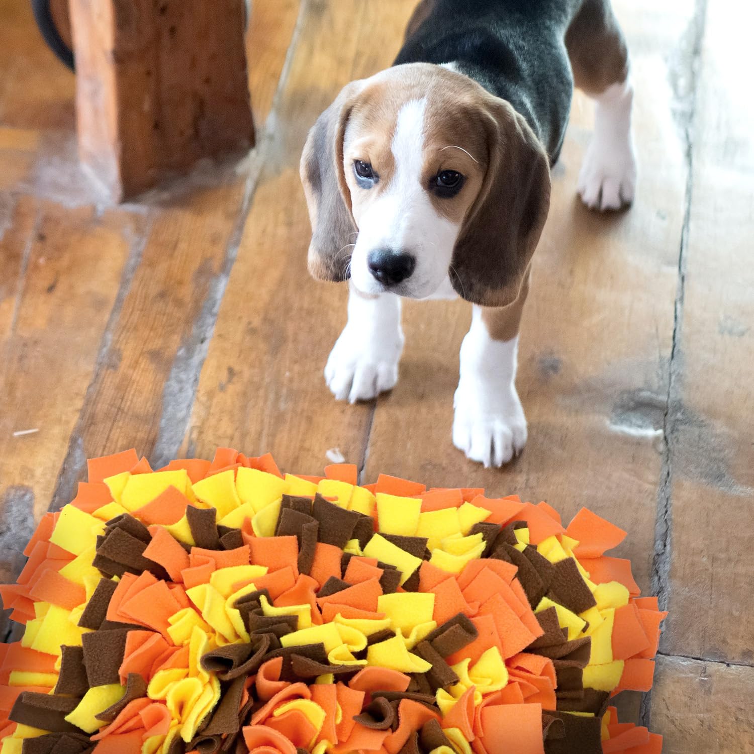 LIVEKEY Pet Snuffle Mat machine-washable cleanup after muddy adventures.