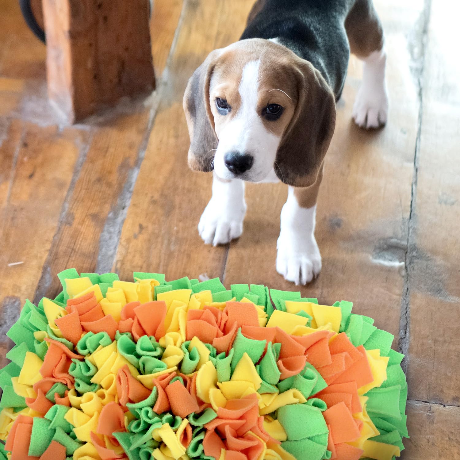 LIVEKEY Snuffle Mat supports foraging and mental engagement for dogs.