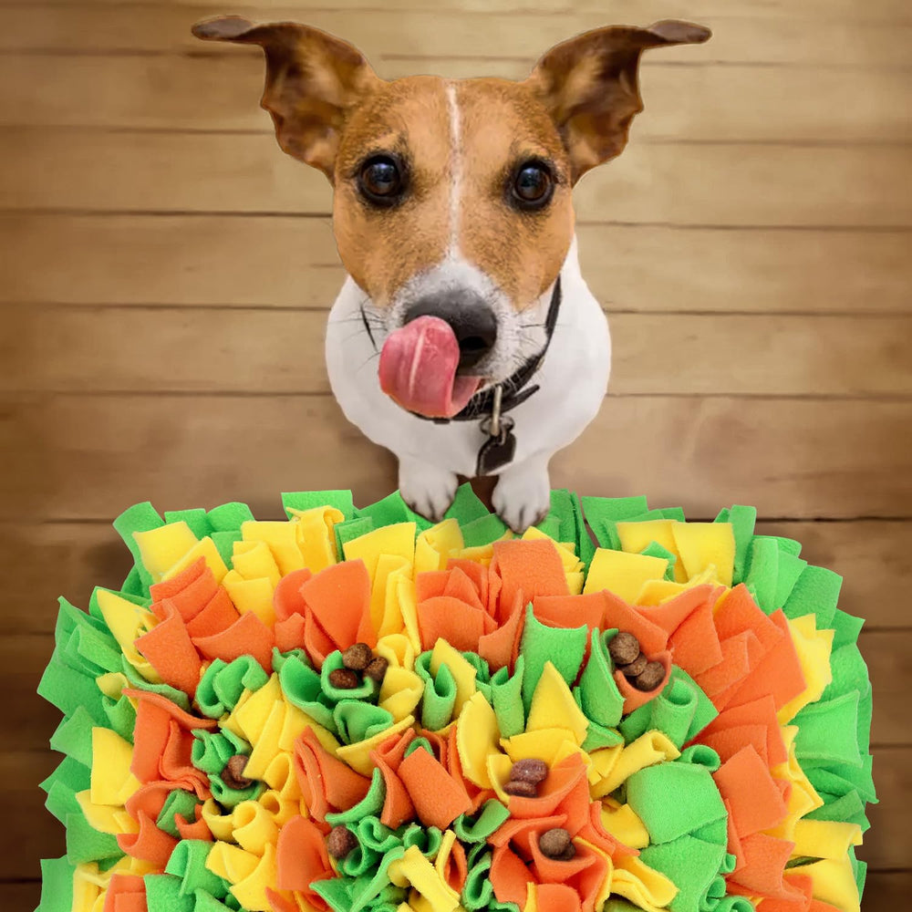 LIVEKEY Snuffle Mat is machine washable for easy cleanup.