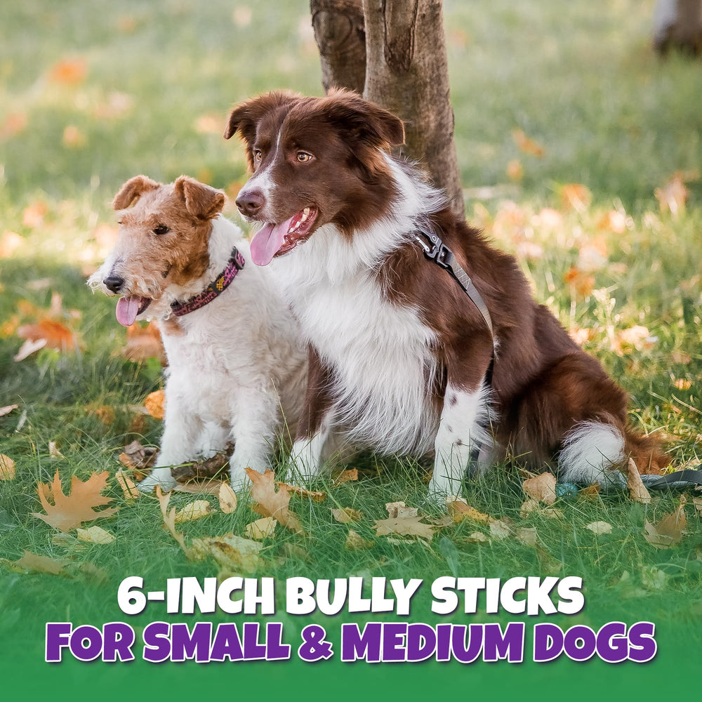 Lively Tails 12-14 treats per bag highlights value and variety