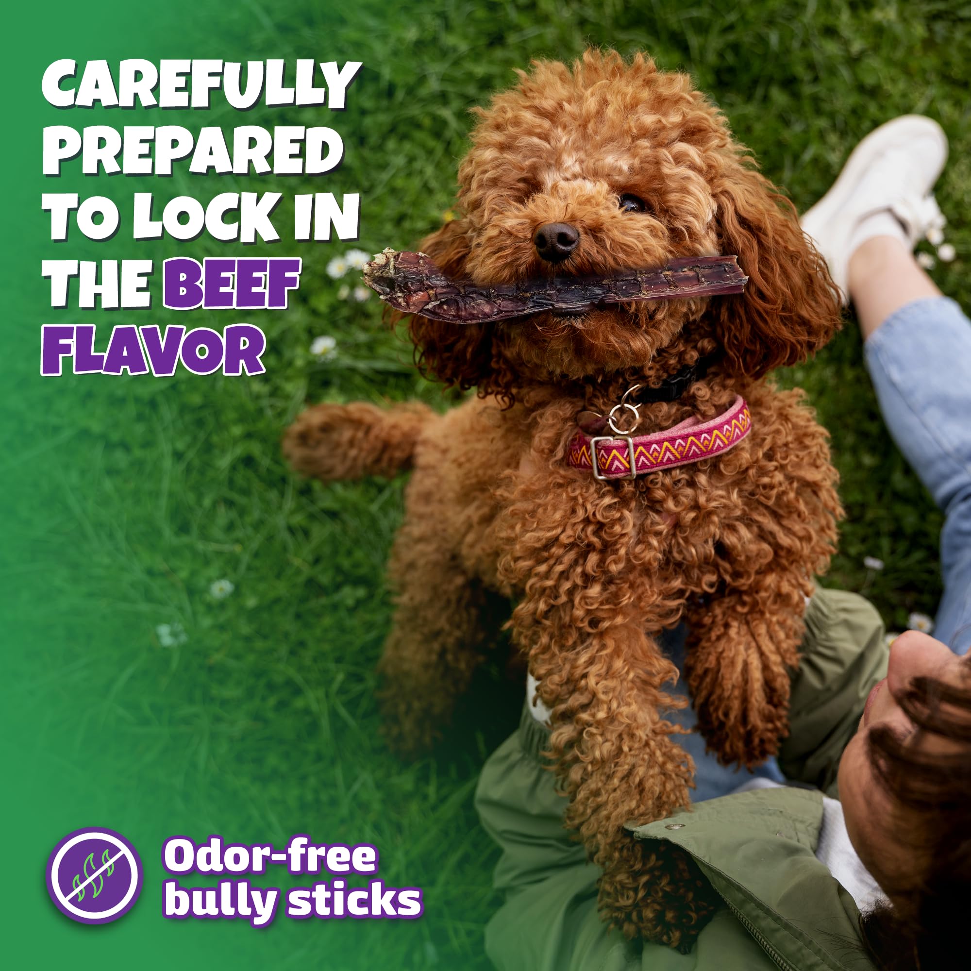Lively Tails 6inch dog chews ideal for small and medium dogs