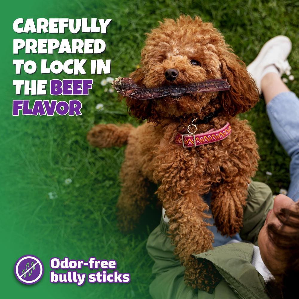 Lively Tails 6inch dog chews ideal for small and medium dogs