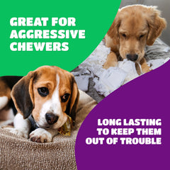 Lively Tails beef knee caps dog bones close-up highlights a durable chew for tough chewers.