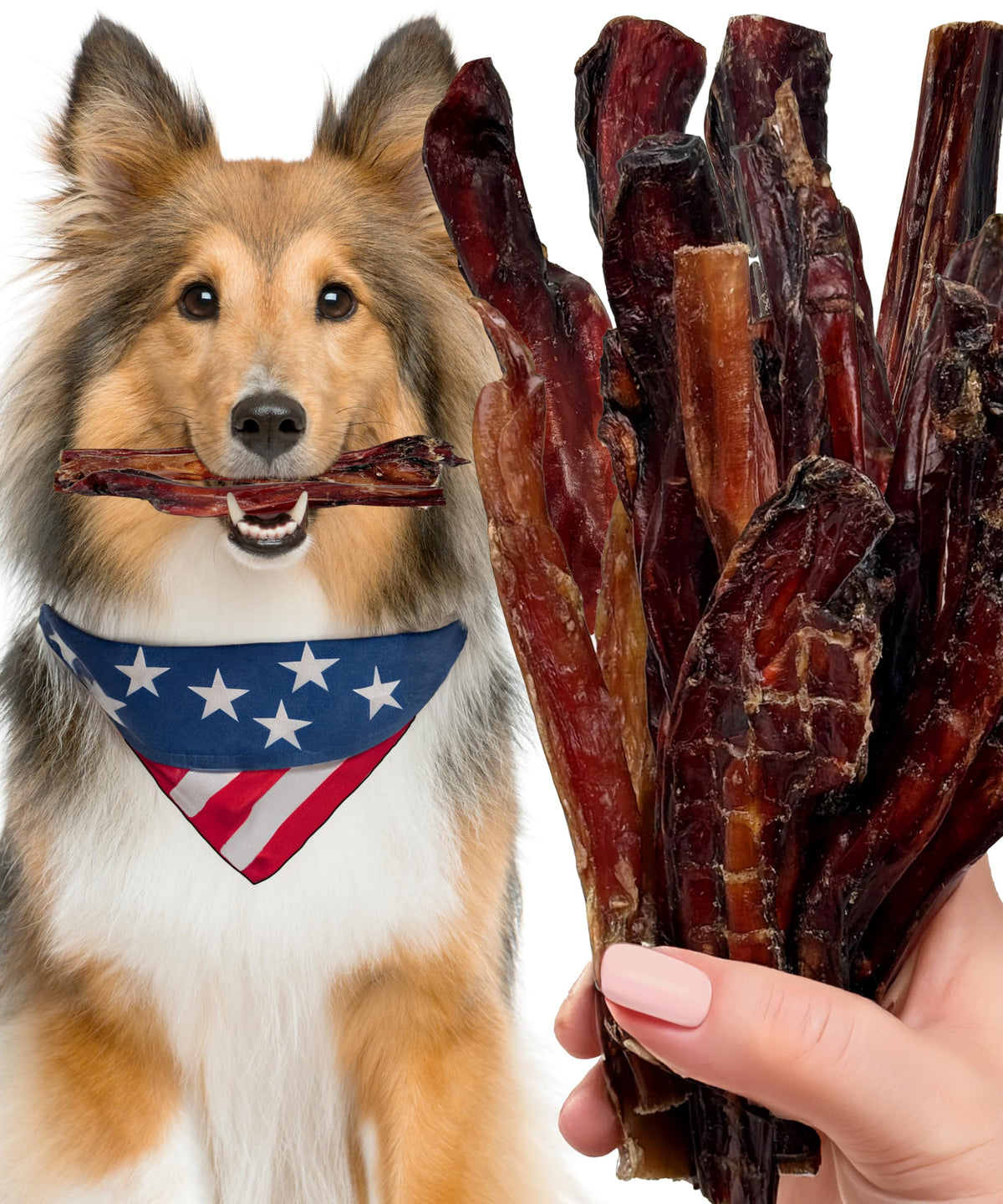 Lively Tails bully-sticks 6in US made packaging promotes controlled chewing