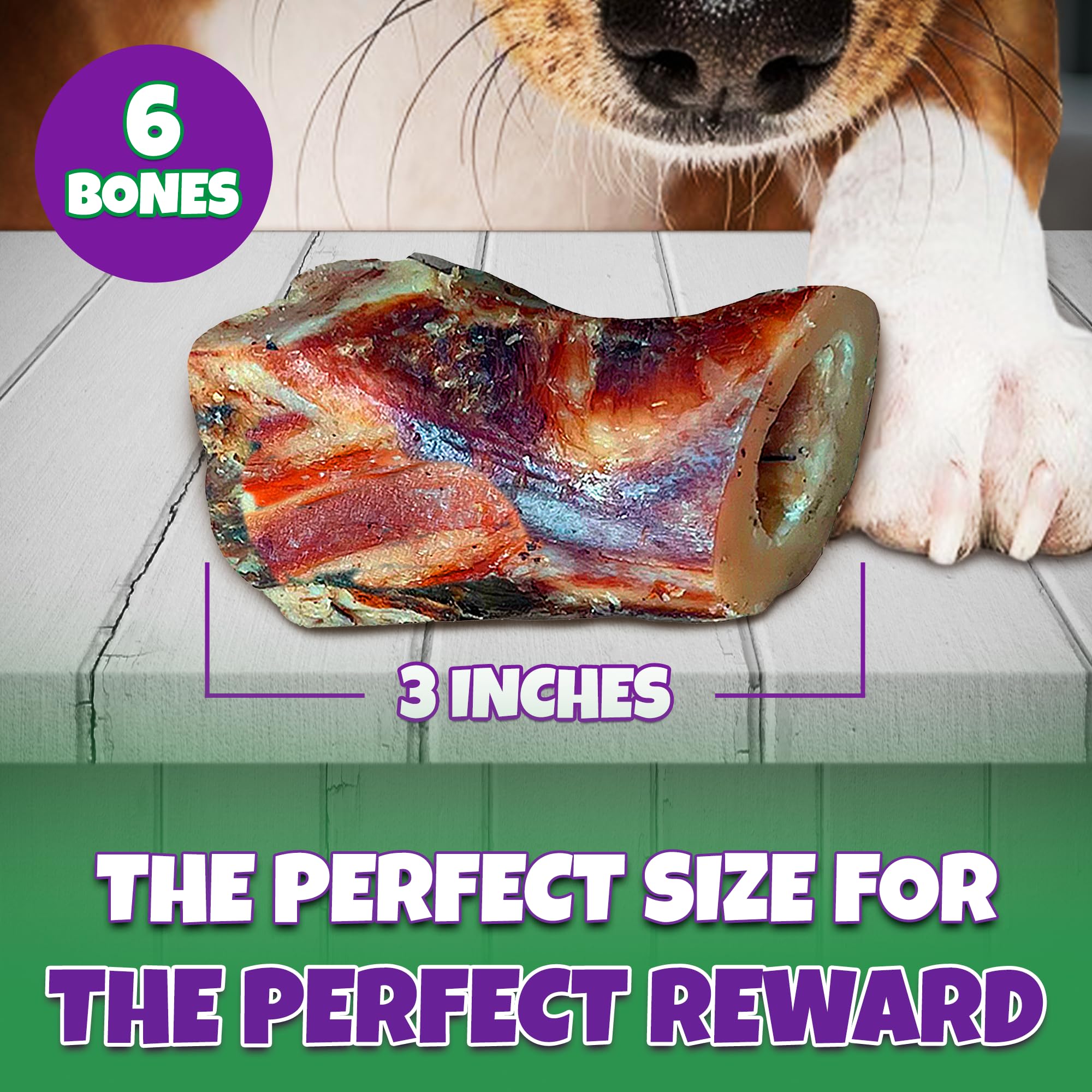 Lively Tails dental-friendly bone highlighting a long-lasting chew benefit.