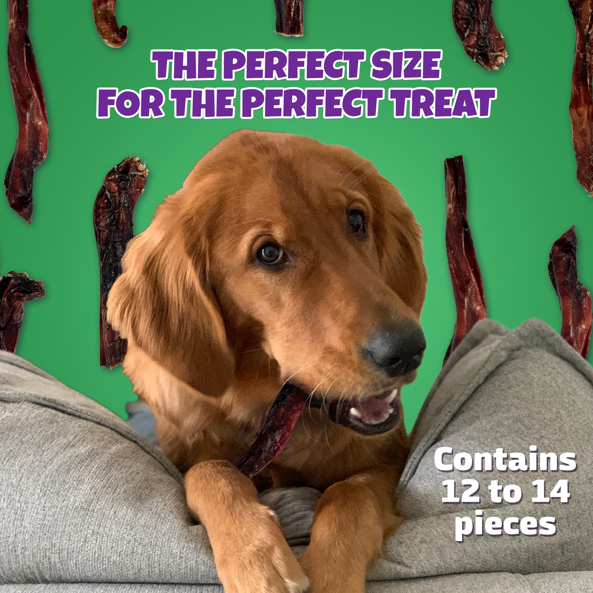 Lively Tails dental health chews close-up shows plaque friendly chewing