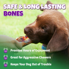 Dog chewing marrow bone from Lively Tails during playtime.