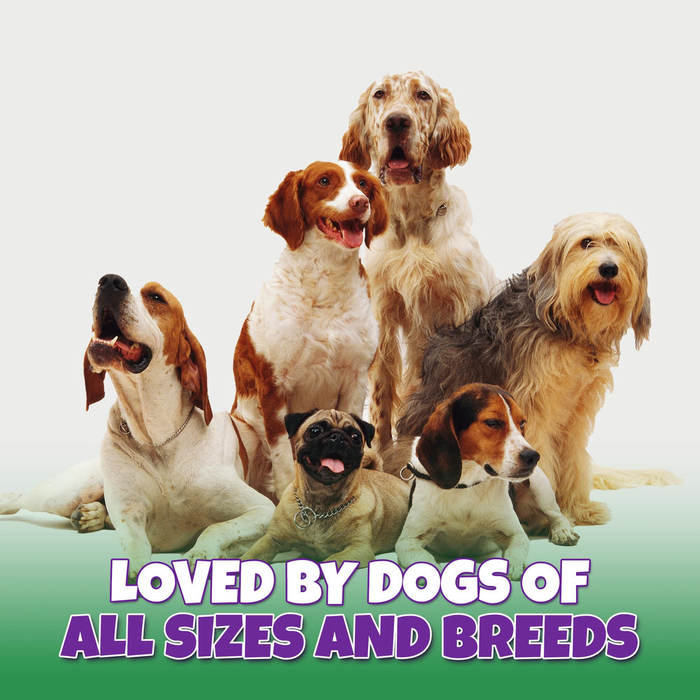 Image showing dog-size variations compatible with small, medium, and large breeds.