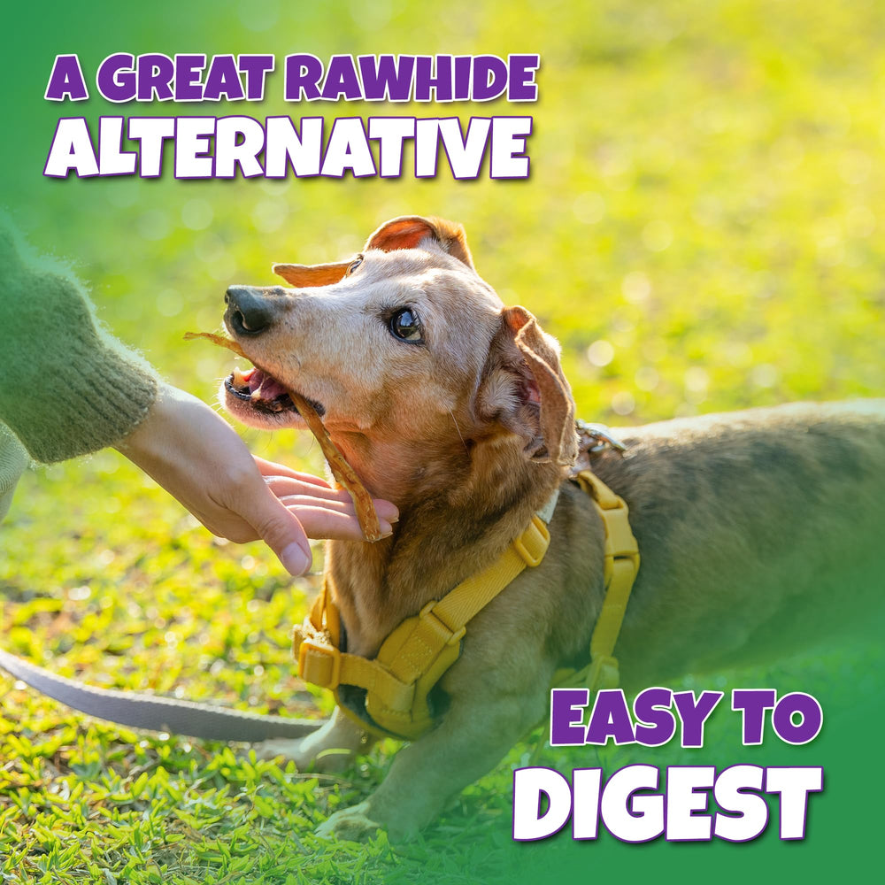Lively Tails tendon strips suited for small and medium dogs.