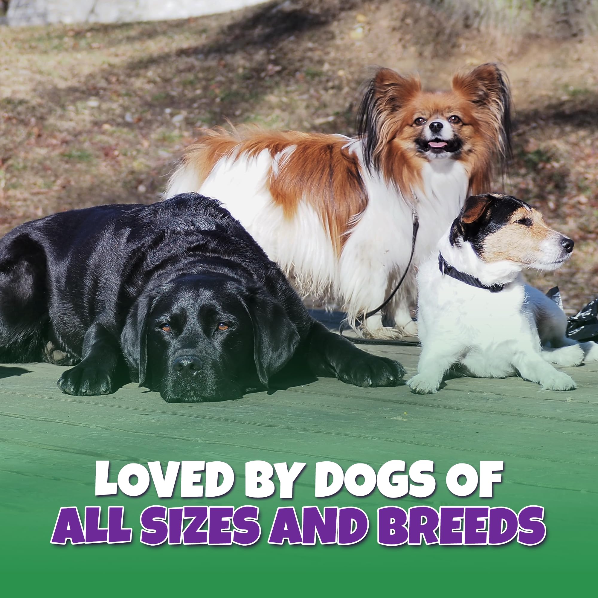 Lively Tails USA-made label reinforces quality and local production.