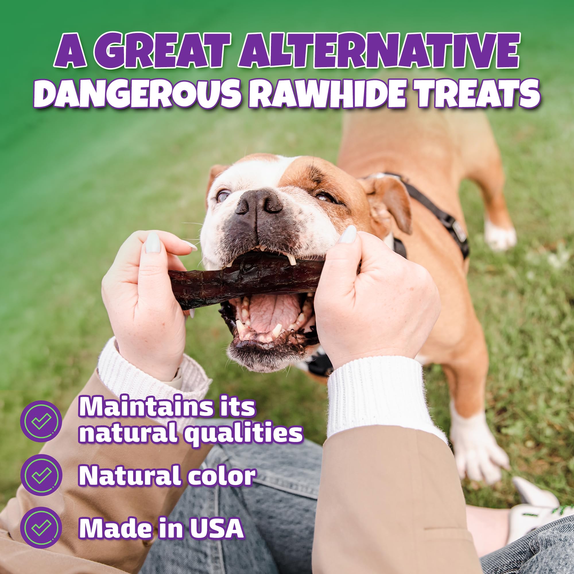 Lively Tails USA made beef pizzle sticks for dogs