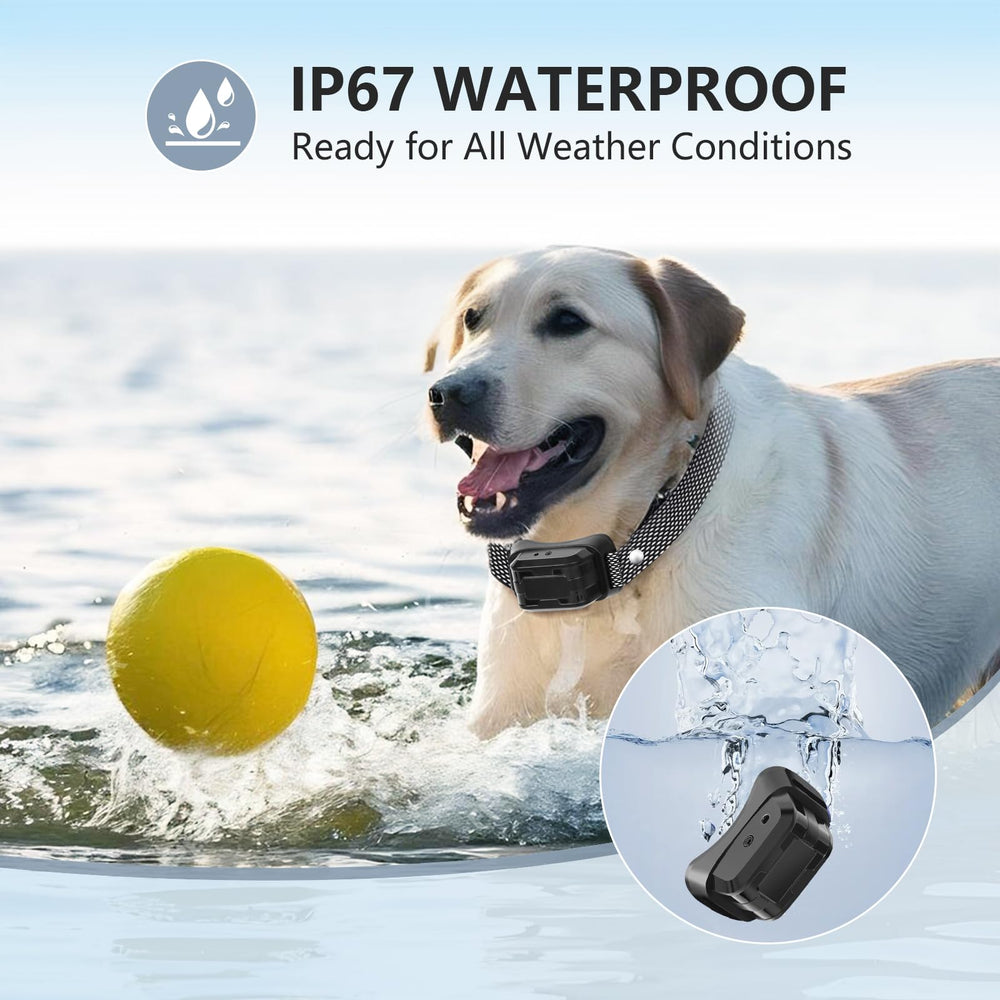 LivelyLeap citronella bark collar packaging with contents