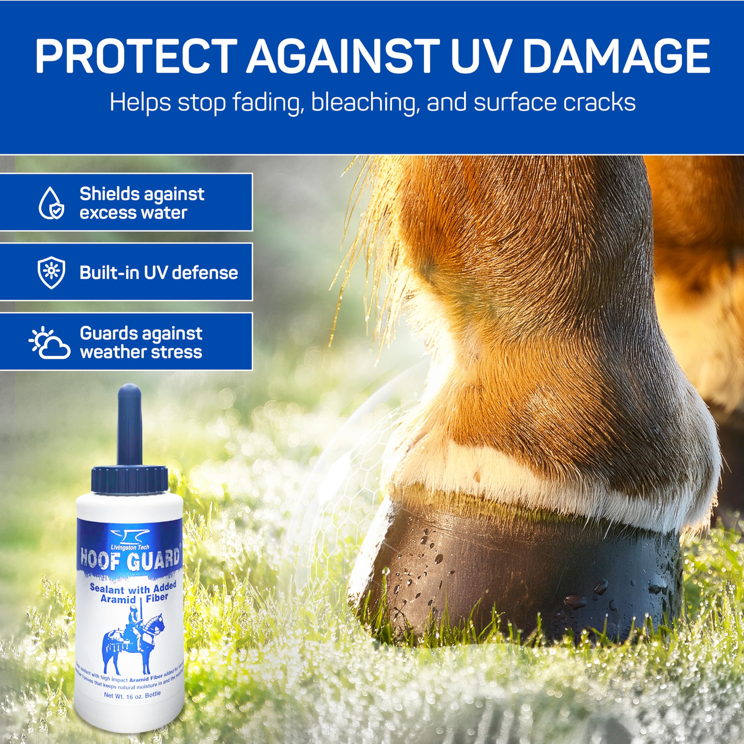 LivingstonTech Hoof Guard Sealant-after-finish with a glossy, polished look.