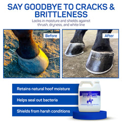 Closeup shows cracks and holes sealed by Livingston Tech Hoof Guard Sealant.