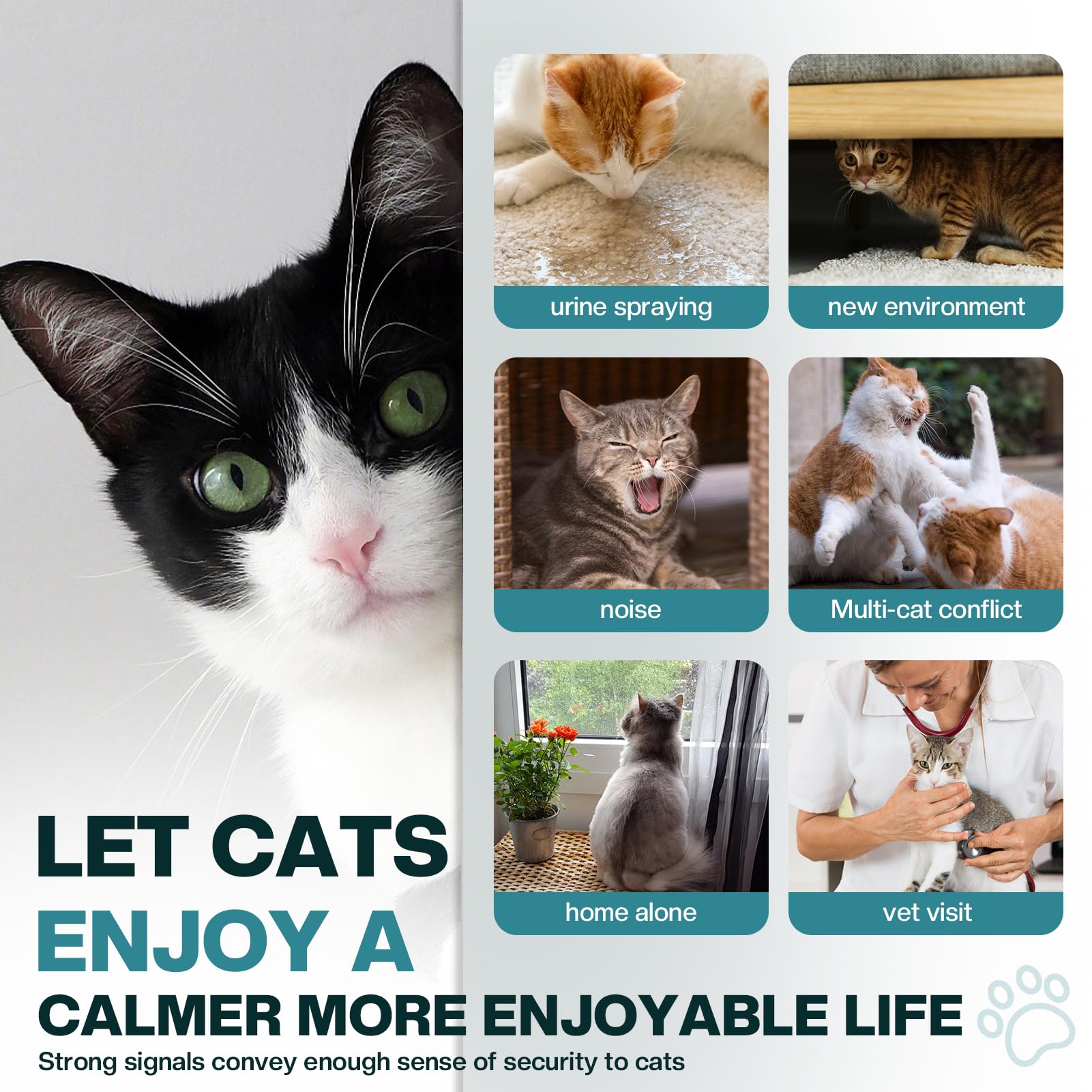 LIWENQI cat calming diffuser heads highlighting rapid pheromone release for anxious cats.