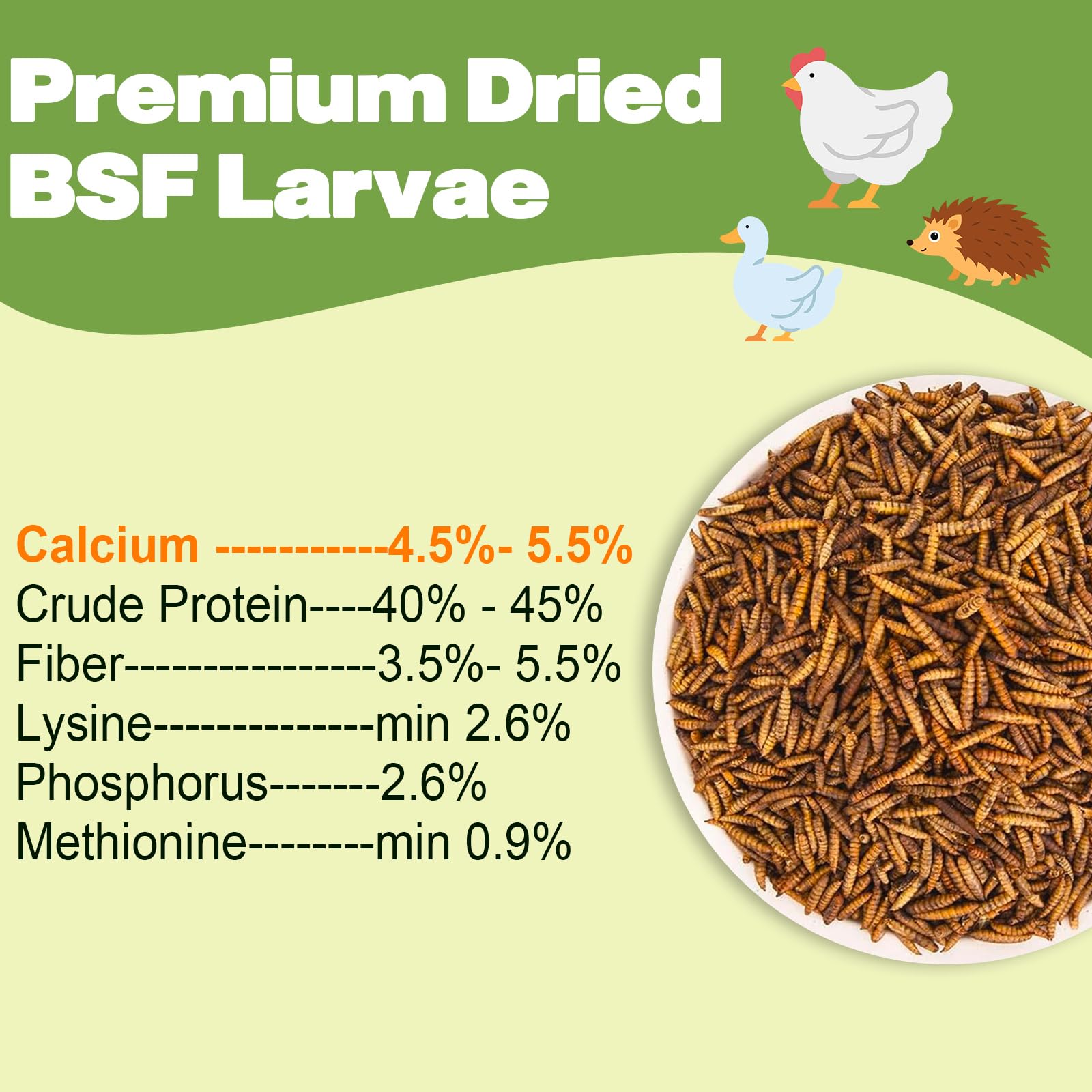 LIWII BSF larvae protein-calcium rich treat boosts egg quality potential for hens.