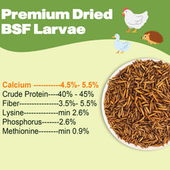 LIWII BSF larvae protein-calcium rich treat boosts egg quality potential for hens.