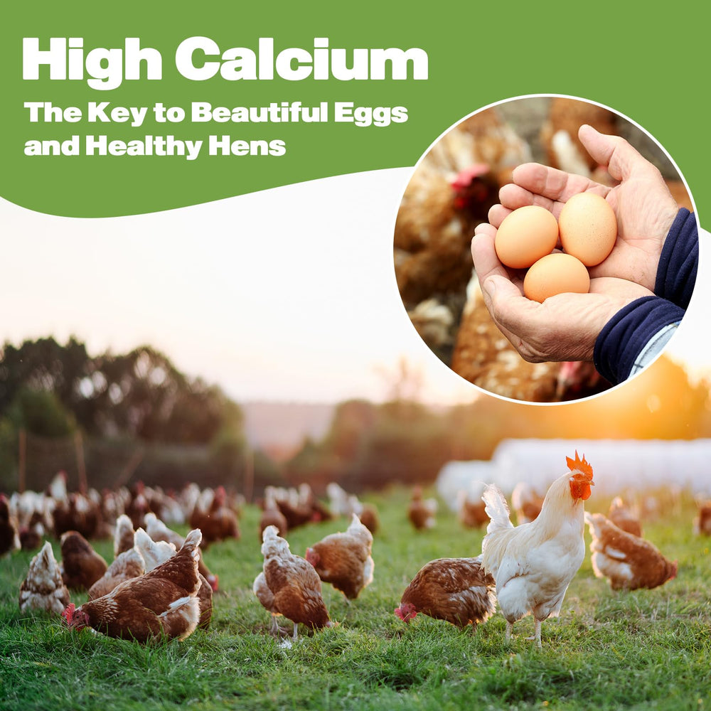 LIWII bulk 160oz larvae pack offers convenient value for flocks.