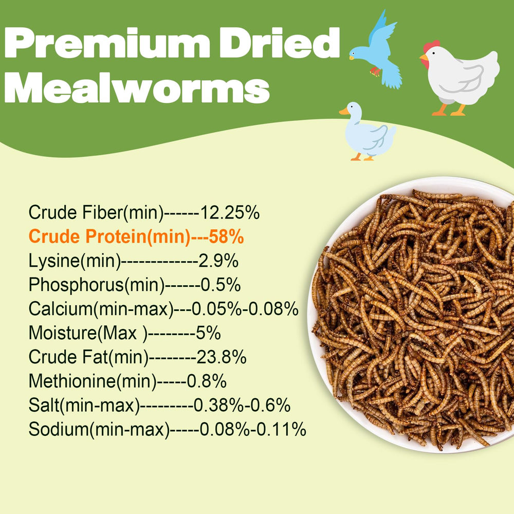 LIWII Dried Mealworms closeup highlight premium, vitamin-rich bites for birds.