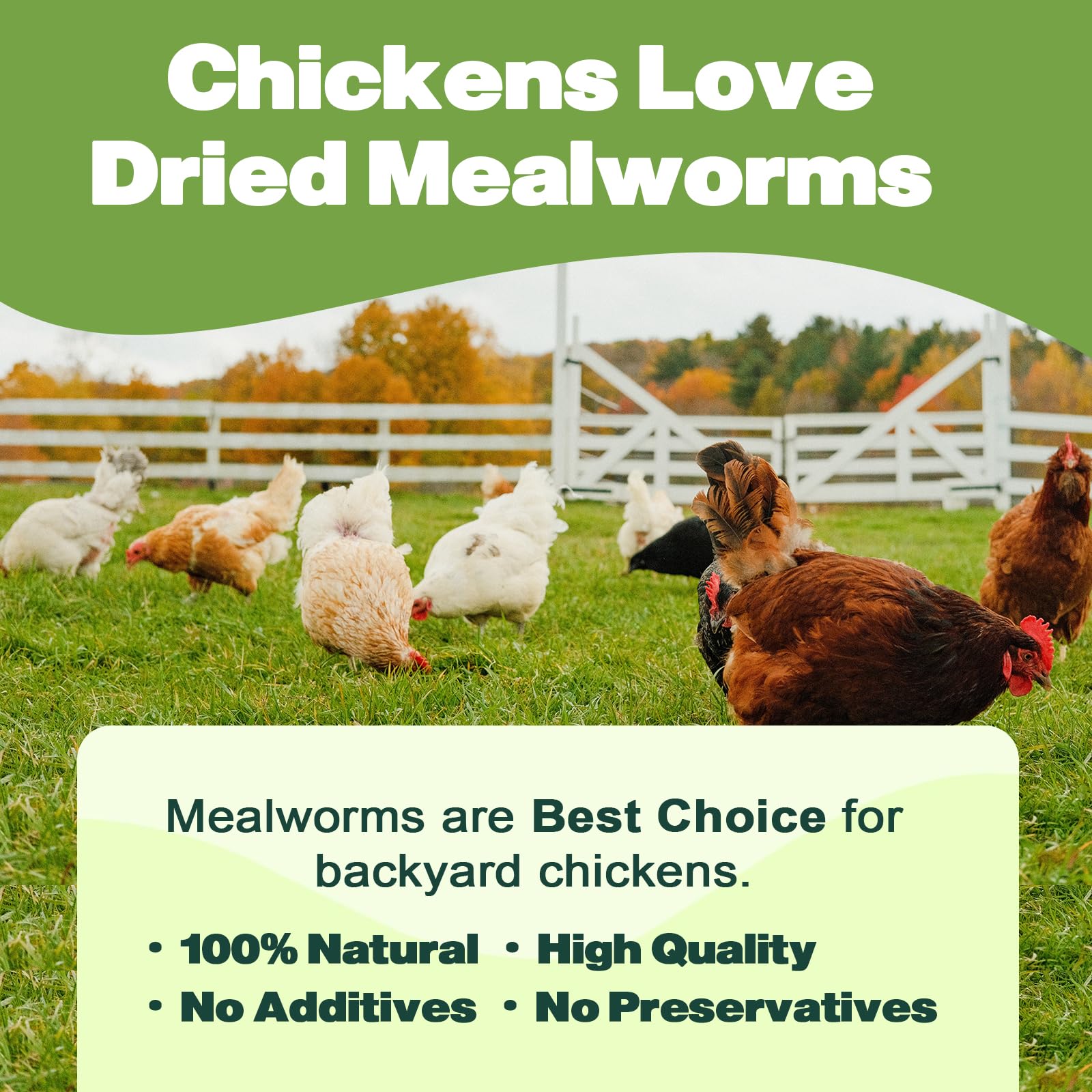 LIWII dried mealworms packaging label clearly marks non GMO and preservative-free