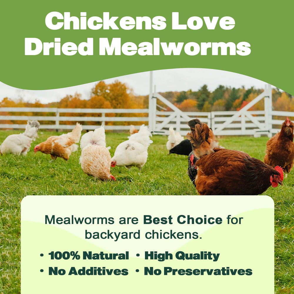 LIWII dried mealworms packaging label clearly marks non GMO and preservative-free