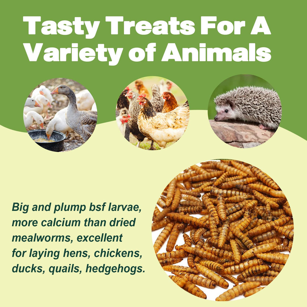 LIWII feeding tips provide daily portions for balanced protein intake.