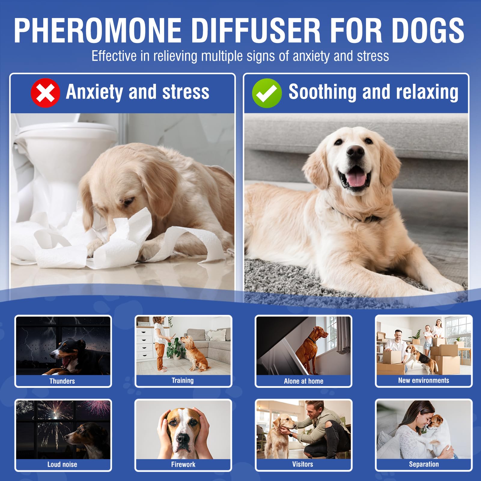 LKBHGF natural ingredients soothe dog nerves safely.